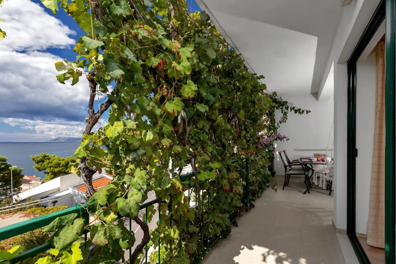 Apartmani Antonela Drasnice Exterior foto
